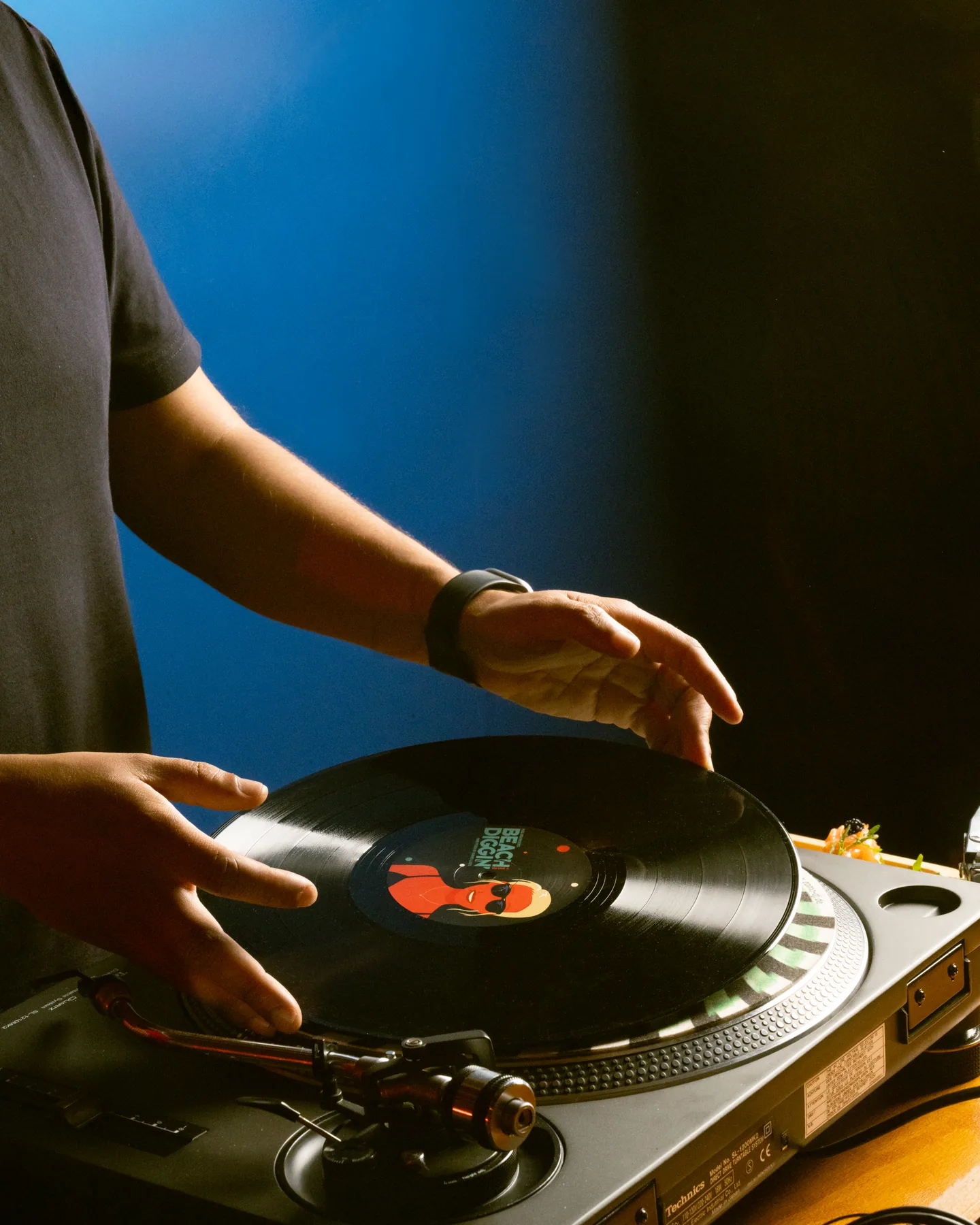Platine haut de gamme, aiguille sur un vinyle